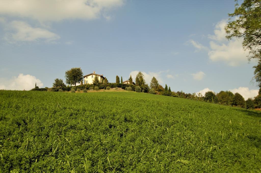 La Vedetta Bed And Breakfast Castelvetro di Modena Exterior photo