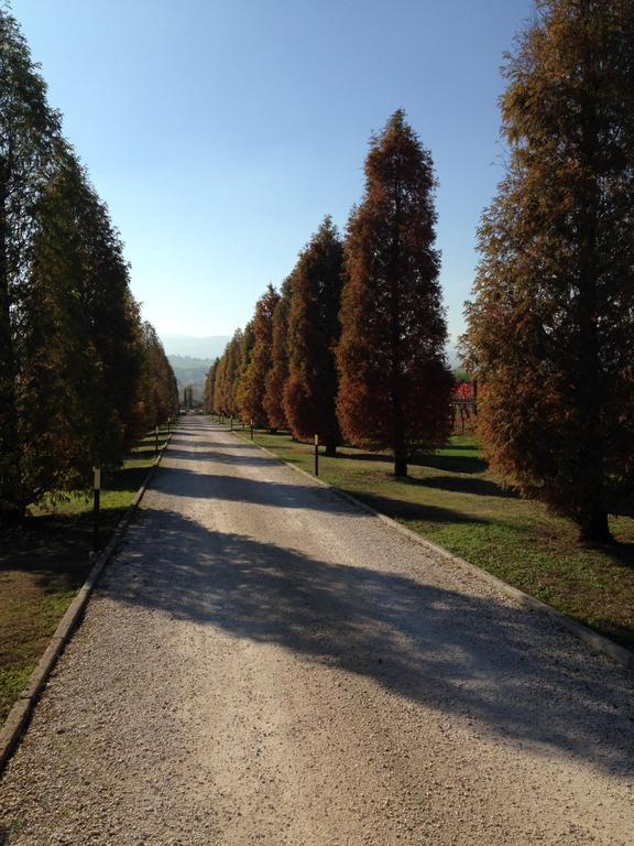 La Vedetta Bed And Breakfast Castelvetro di Modena Exterior photo