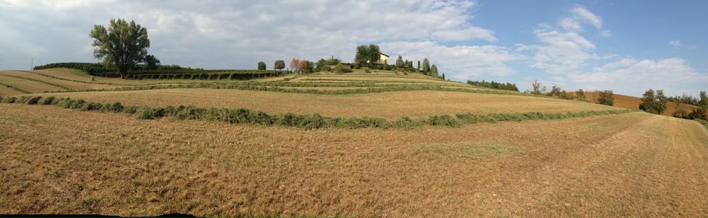 La Vedetta Bed And Breakfast Castelvetro di Modena Exterior photo